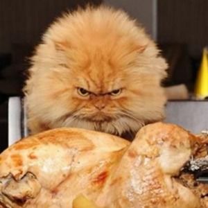 Meet your Posher, Ethan